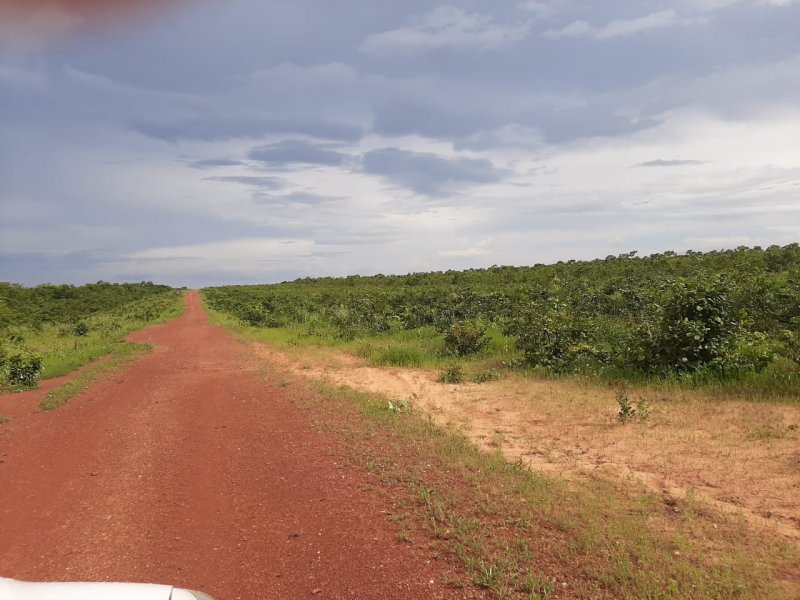 Fazenda à venda Centro com 1000000m² e 2 quartos por R$ 50.000.000 - 272122378-d2e22864-402b-49b7-a3a6-b7f150637883.jpg