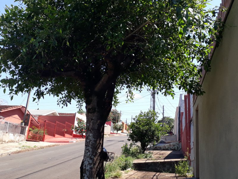 Casa à venda Jacomo Violin com 174m² e 3 quartos por R$ 159.000 - 1524448510-img-20211107-wa0014.jpeg