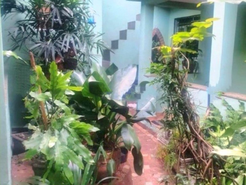 Casa à venda Jardim São Roque com 168m² e 3 quartos por R$ 480.000 - 1258456995-wipeout09-27-2022-040945.jpg