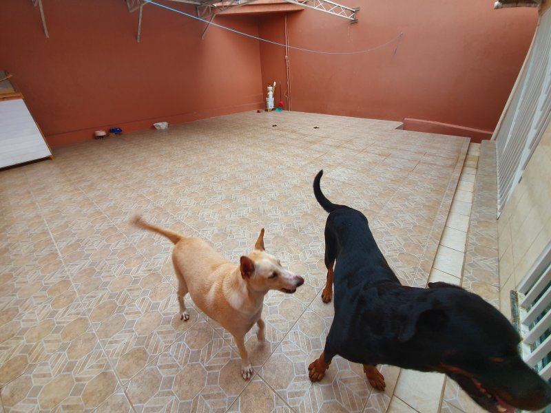 Casa à venda NOVO ALEIXO com 200m² e 2 quartos por R$ 280.000 - 1851211255-20190929-171731.jpg