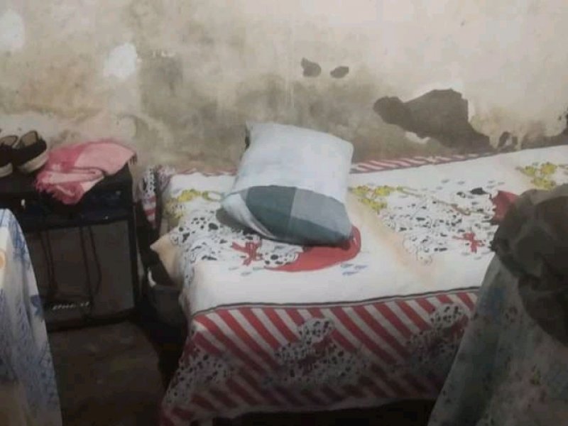 Casa à venda Centro com 62m² e 3 quartos por R$ 70.000 - 773775293-1646511166423.jpg
