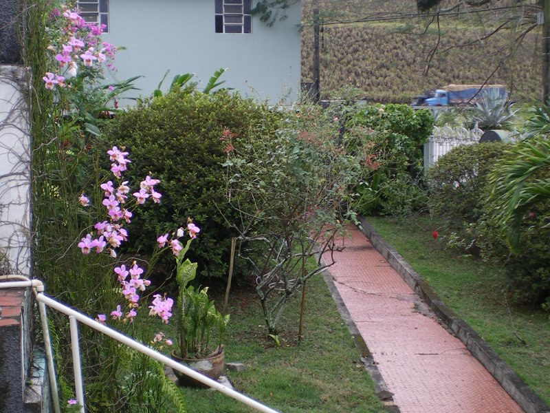 Terreno à venda Centro com 2160m² e 1 quarto por R$ 1.200.000 - 1488130694-7.JPG
