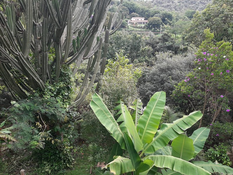Chácara à venda Parque Valinhos com 2820m² e 4 quartos por R$ 7.500.000 - 1554009900-20220205-162611.jpg