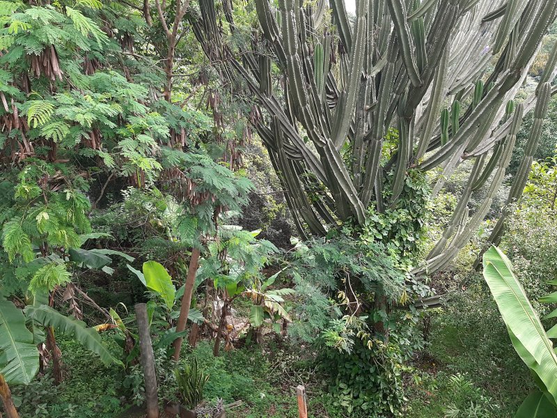 Chácara à venda Parque Valinhos com 2820m² e 4 quartos por R$ 7.500.000 - 2052682327-20220205-162615.jpg