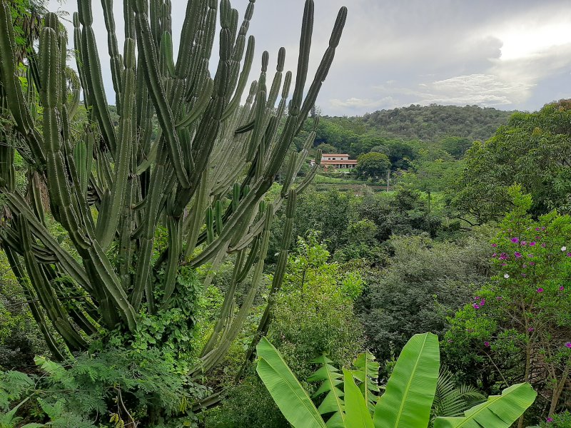 Chácara à venda Parque Valinhos com 2820m² e 4 quartos por R$ 7.500.000 - 705293259-20220205-162536.jpg