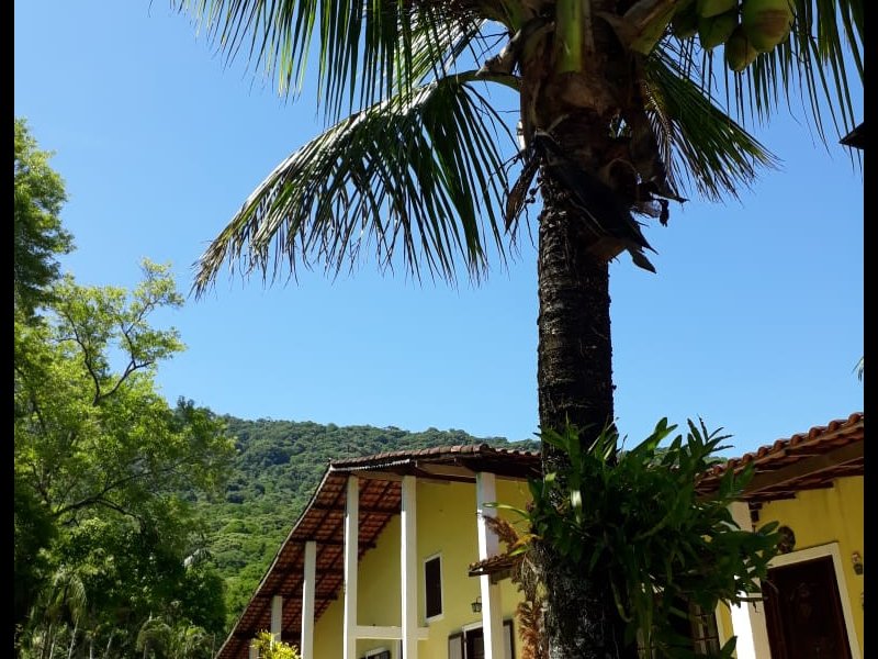 Casa à venda Vila Califórnia com 232m² e 3 quartos por R$ 560.000 - 1341504356-ec787a3b-5006-4f9b-bcfa-95a202803cdf.jpeg