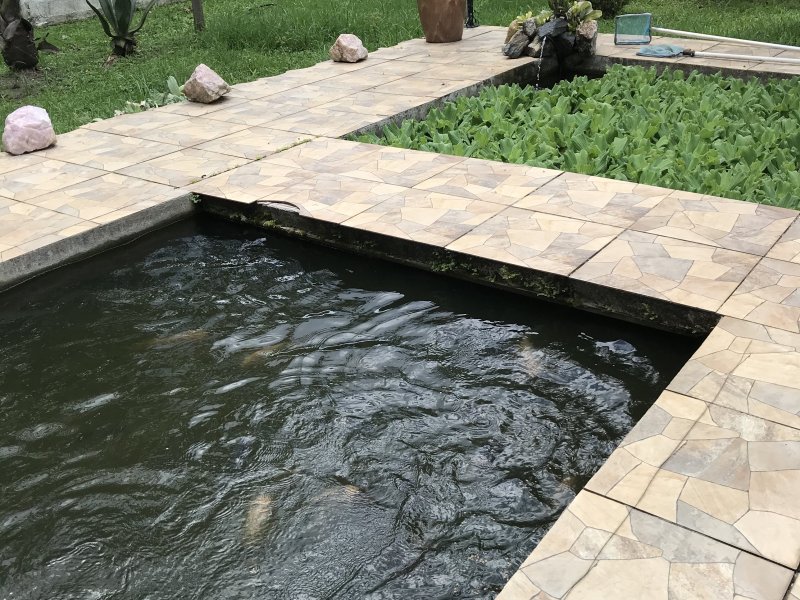 Casa à venda Vila Califórnia com 232m² e 3 quartos por R$ 560.000 - 1536455312-4b3b81fc-bb8c-40ff-8604-5d856f305ef0.jpeg