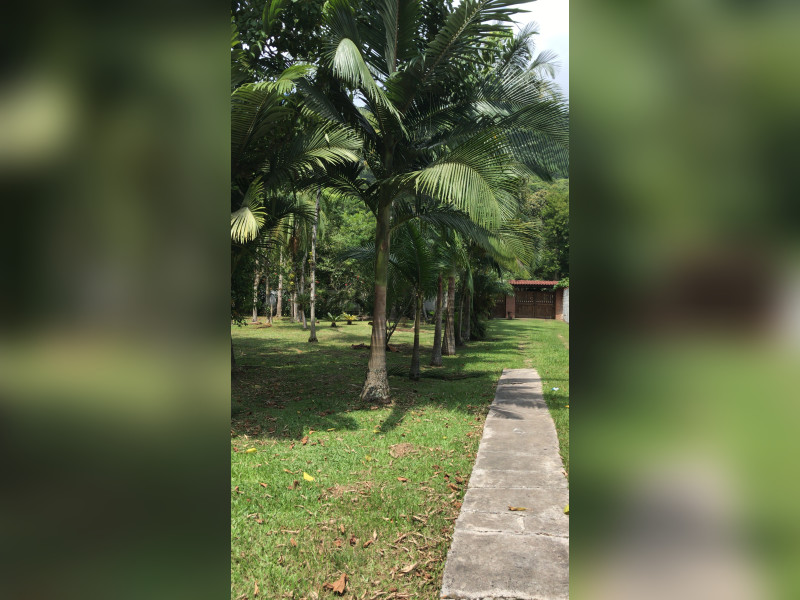 Casa à venda Vila Califórnia com 232m² e 3 quartos por R$ 560.000 - d9aa80a8-28cf-40c3-bea9-cd2d1a3c409e.jpeg