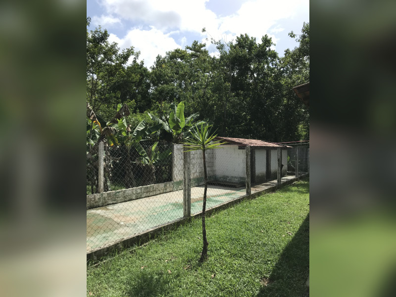 Casa à venda Vila Califórnia com 232m² e 3 quartos por R$ 560.000 - f12780ac-d83a-46ca-b91d-22997a234407.jpeg