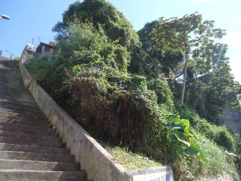 Terreno à venda Matriz com 220m² e 1 quarto por R$ 350.000 - 642086695-cap-joao-2.jpeg