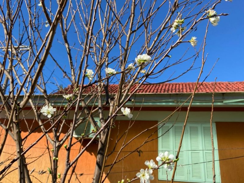Casa à venda São Carlos com 460m² e 3 quartos por R$ 640.000 - 1763873081-b2dbb88b-11e8-499f-98a1-04fb22457d1c.jpeg