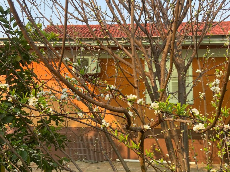 Casa à venda São Carlos com 460m² e 3 quartos por R$ 640.000 - 1917008388-fe25e5ac-9104-4a22-a78a-f4a0fcd36e2b.jpeg