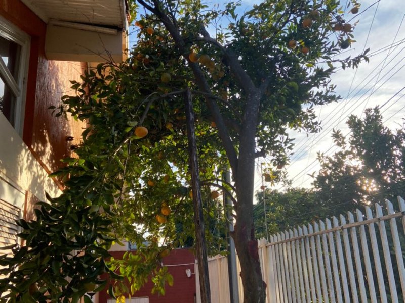 Casa à venda São Carlos com 460m² e 3 quartos por R$ 640.000 - 647010371-b4e69d45-7886-4d1b-8a53-00e64a2cd4c0.jpeg