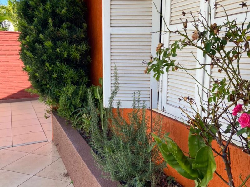 Casa à venda São Carlos com 460m² e 3 quartos por R$ 640.000 - 855847569-9c5e9fa3-b69d-4996-96f0-256dc23b8eab.jpeg