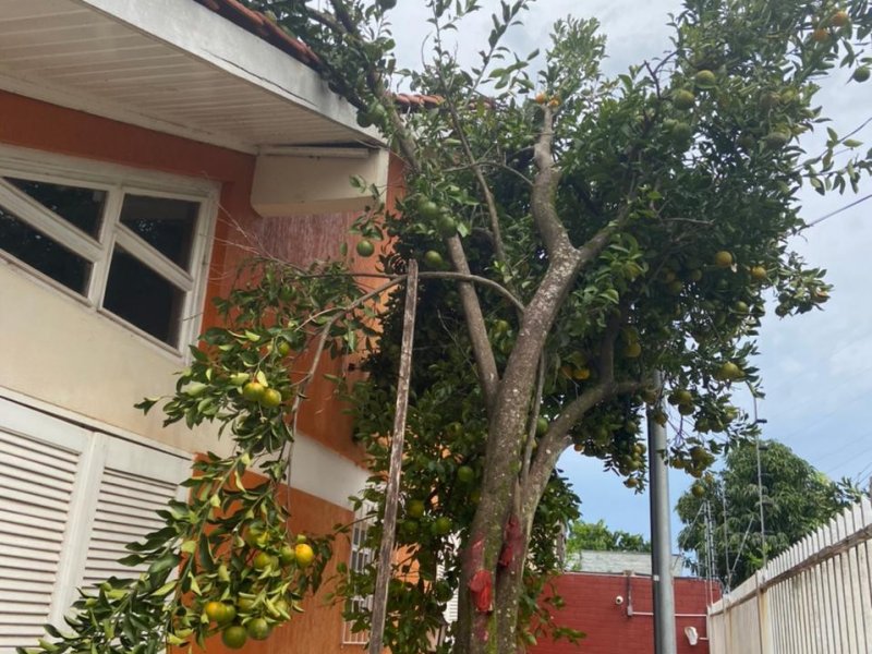 Casa à venda São Carlos com 460m² e 3 quartos por R$ 640.000 - 96971309-5ecf34d3-97fb-44a0-b437-7504752348c0.jpeg