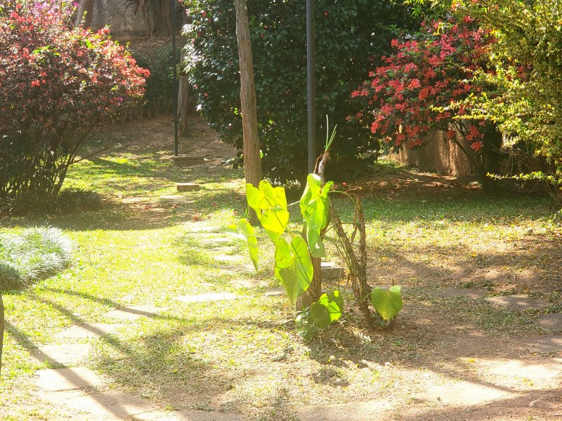 Casa de condomínio à venda Jardim Bonfiglioli com 230m² e 4 quartos por R$ 1.150.000 - 931609583-20210826-121833.jpg