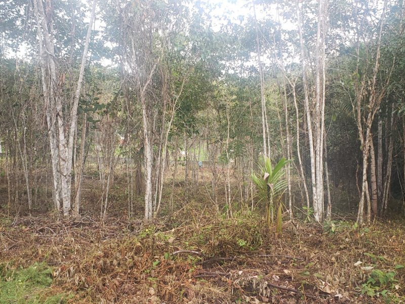 Terreno à venda Novo Israel com 2000m² e 1 quarto por R$ 280.000 - 1082897644-whatsapp-image-2022-02-03-at-21.jpeg
