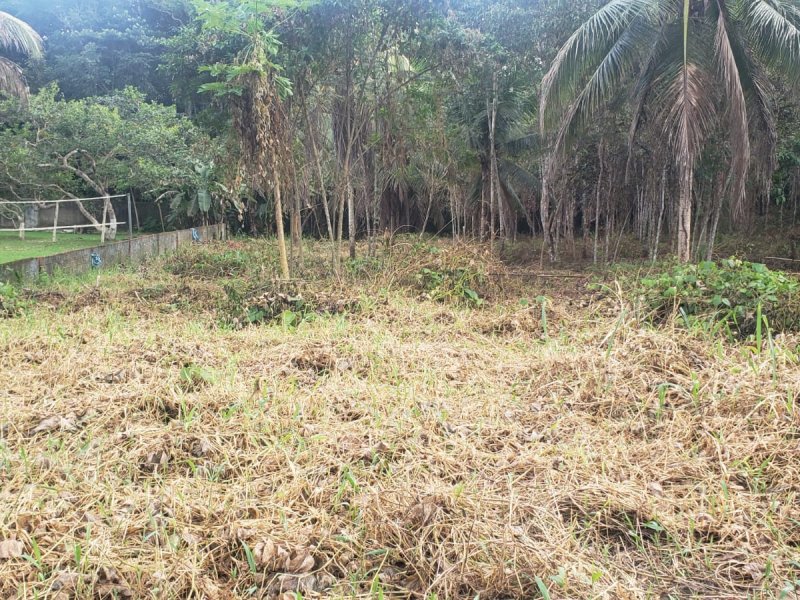 Terreno à venda Novo Israel com 2000m² e 1 quarto por R$ 280.000 - 1156164672-whatsapp-image-2022-02-03-at-21.jpeg