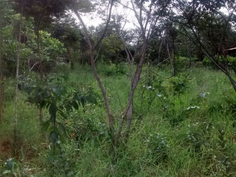 Terreno à venda Centro com 1000m² e 1 quarto por R$ 110.000 - 386134376-img-20220302-wa0012.jpg