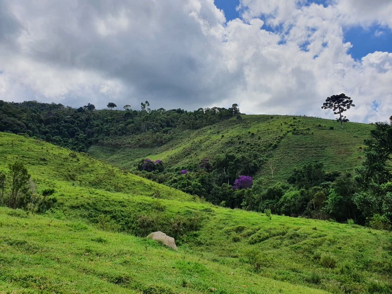 Terreno à venda Centro com 210000m² e 1 quarto por R$ 800.000 - 1291360654-20220305-105939.jpg