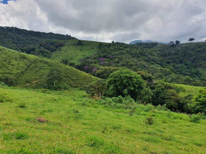 Terreno à venda Centro com 210000m² e 1 quarto por R$ 800.000 - 1489725866-20220305-113503.jpg