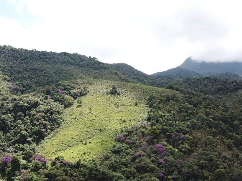 Terreno à venda Centro com 210000m² e 1 quarto por R$ 800.000 - 172417331-whatsapp-image-2022-03-05-at-12.jpeg