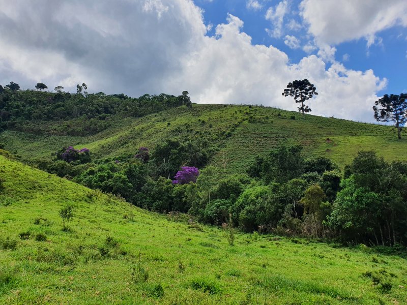 Terreno à venda Centro com 210000m² e 1 quarto por R$ 800.000 - 1830649244-20220305-110136.jpg