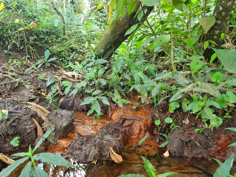 Terreno à venda Centro com 210000m² e 1 quarto por R$ 800.000 - 490109035-20220305-111717.jpg