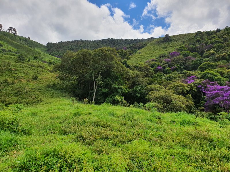 Terreno à venda Centro com 210000m² e 1 quarto por R$ 800.000 - 554291531-20220305-111943.jpg