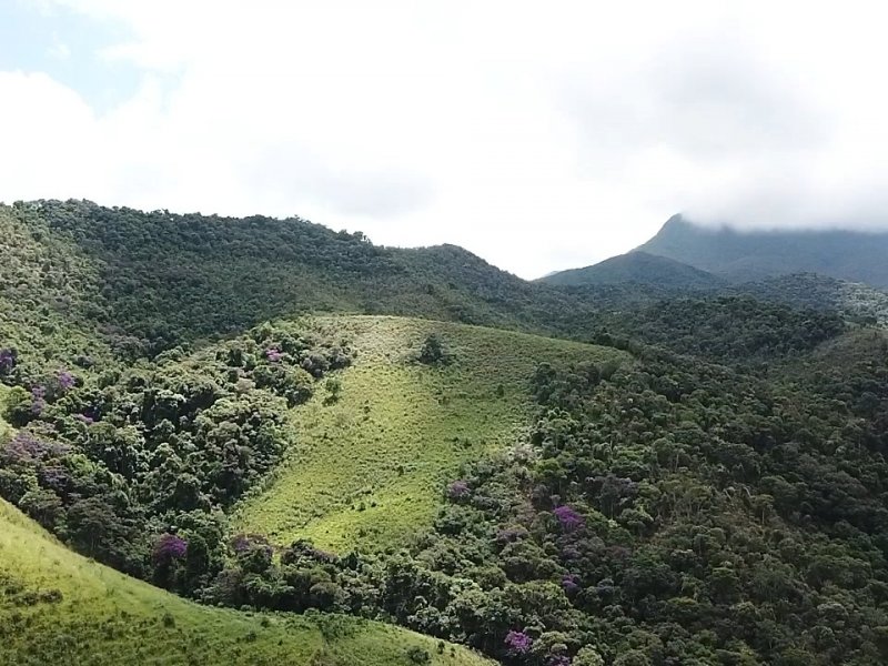Terreno à venda Centro com 210000m² e 1 quarto por R$ 800.000 - 882005120-whatsapp-image-2022-03-05-at-12.jpeg