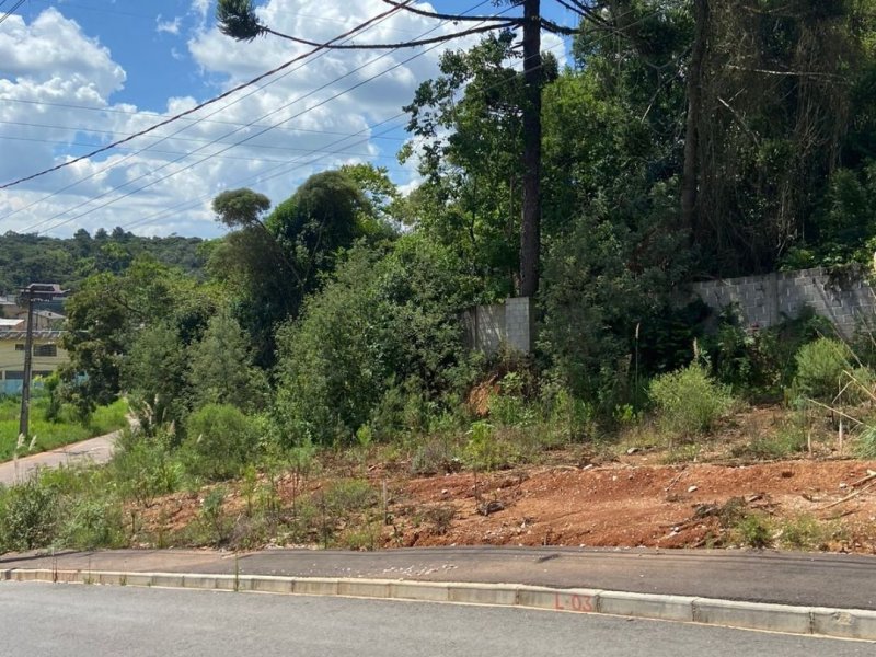 Terreno à venda Jardim Roma com 180m² e 1 quarto por R$ 100.000 - 1357908792-1.jpg