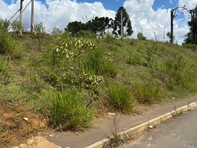 Terreno à venda Jardim Roma com 180m² e 1 quarto por R$ 100.000 - 1516862037-2.jpg