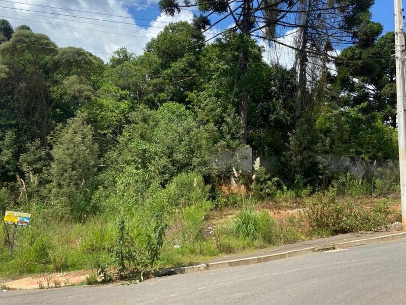 Terreno à venda Jardim Roma com 180m² e 1 quarto por R$ 100.000 - 256030287-4.jpg