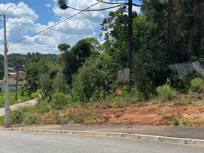 Terreno à venda Jardim Roma com 180m² e 1 quarto por R$ 100.000 - 716822580-3.jpg