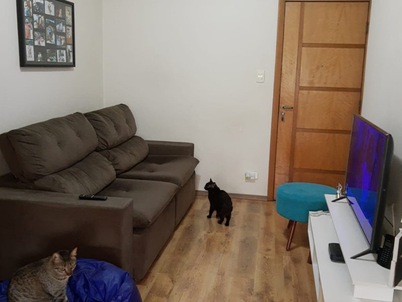 Apartamento à venda Brás com 61m² e 2 quartos por R$ 260.000 - 1523671988-sala-tv.jpeg