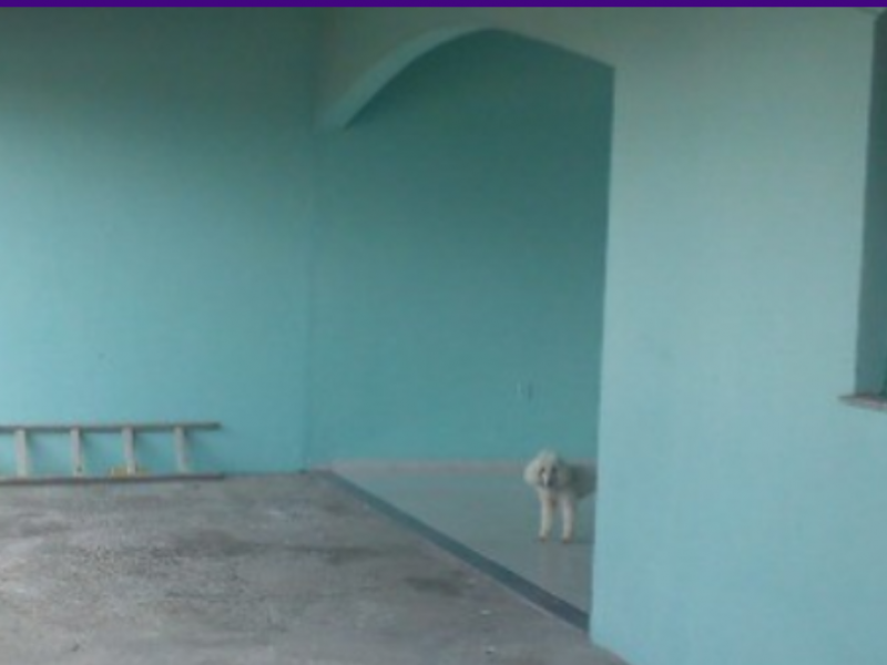 Casa à venda Santa Cruz com 220m² e 2 quartos por R$ 159.000 - 1317237506-screenshot-20220312-0446192.png