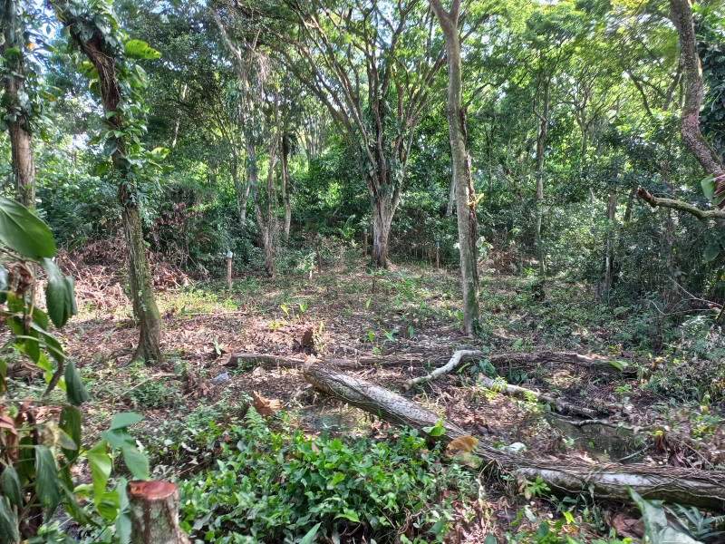Terreno à venda Parque Santo Antonio com 390m² e 1 quarto por R$ 35.000 - 1129710422-20230318-084310.jpg
