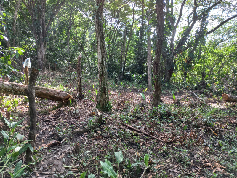 Terreno à venda Parque Santo Antonio com 390m² e 1 quarto por R$ 35.000 - 164905358-20230318-084348.jpg