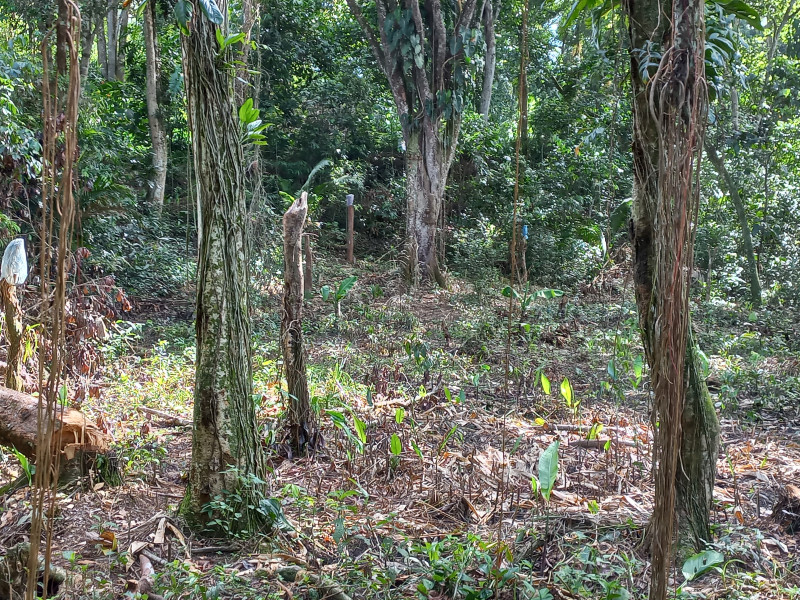Terreno à venda Parque Santo Antonio com 390m² e 1 quarto por R$ 35.000 - 233909121-20230318-084423.jpg