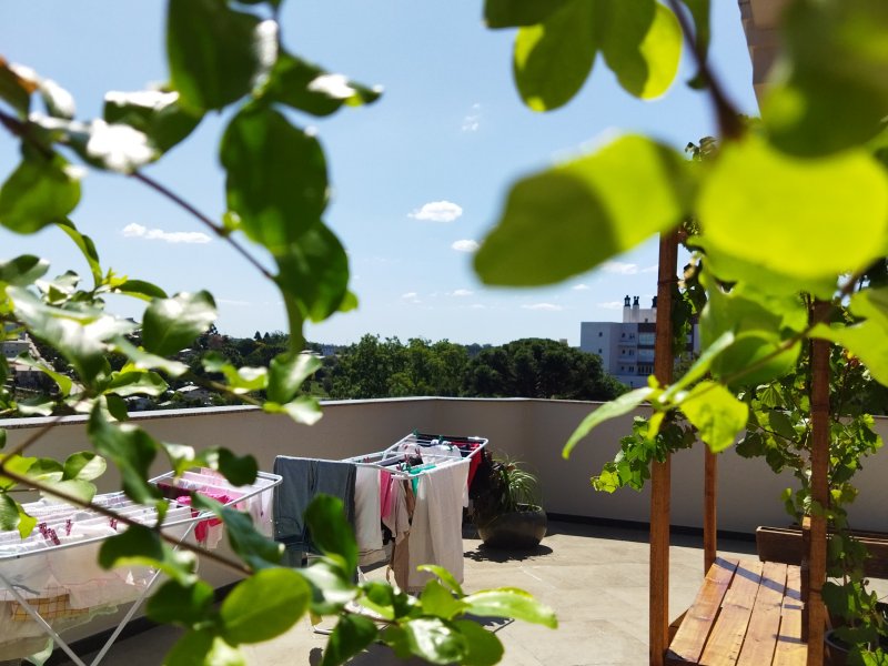 Cobertura à venda Centro com 179m² e 3 quartos por R$ 1.800.000 - 472844085-img-20220207-145036.jpg