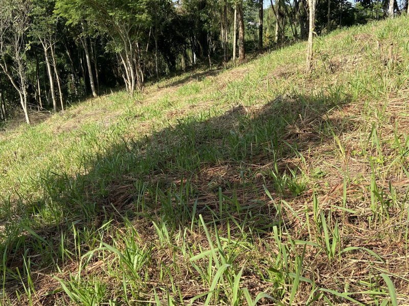 Terreno à venda Chácaras Embu Colonial com 150m² e 1 quarto por R$ 120.000 - 1337805321-8bc20330-6bdd-46c3-a5be-20e8465bce49.jpeg