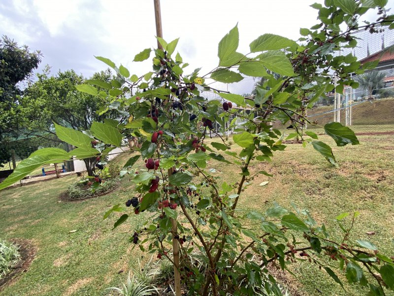 Casa de condomínio à venda Alpes D Ouro com 1400m² e 5 quartos por R$ 1.850.000 - 1003559885-49870738-cb90-445b-a3c4-f902995f8187.jpeg