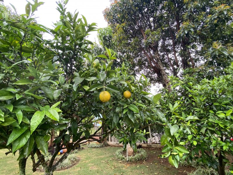 Casa de condomínio à venda Alpes D Ouro com 1400m² e 5 quartos por R$ 1.850.000 - 1108672118-a300e375-4cac-400f-a325-f1c3c9fdc0b2.jpeg