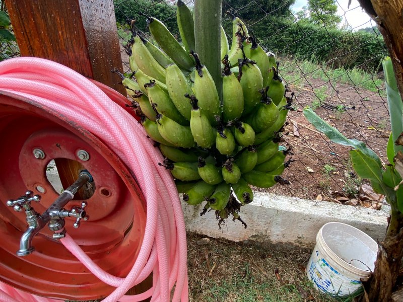 Casa de condomínio à venda Alpes D Ouro com 1400m² e 5 quartos por R$ 1.850.000 - 1623156908-b7d4ef14-ab9e-46e2-9c63-230fd7f073e0.jpeg