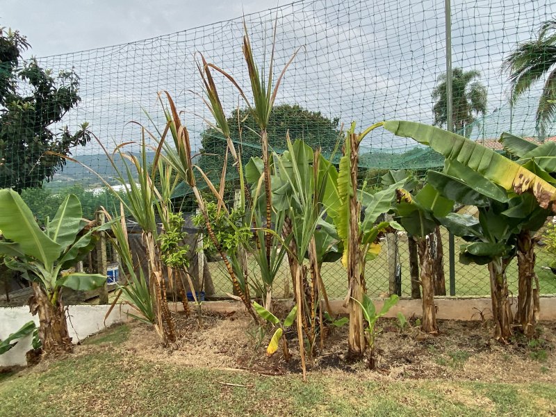 Casa de condomínio à venda Alpes D Ouro com 1400m² e 5 quartos por R$ 1.850.000 - 1847998180-796e3f24-234a-4d71-ae83-6882a118b374.jpeg