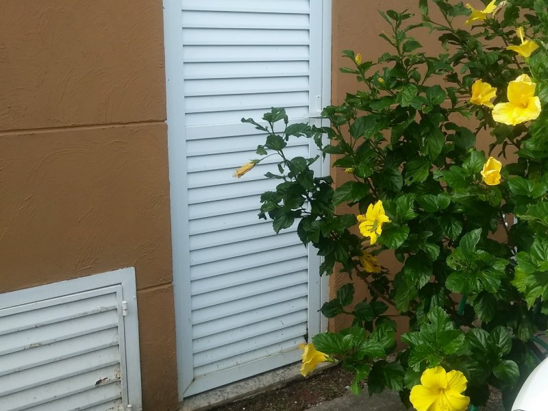 Casa de condomínio à venda Bairro do Maranhao com 100m² e 3 quartos por R$ 689.900 - 437195782-20220313-153553-1.jpg