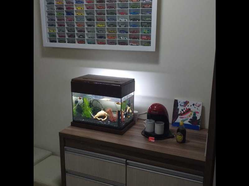 Apartamento à venda Jaraguá com 45m² e 2 quartos por R$ 235.000 - 1211596574-img-20220222-wa0076.jpg