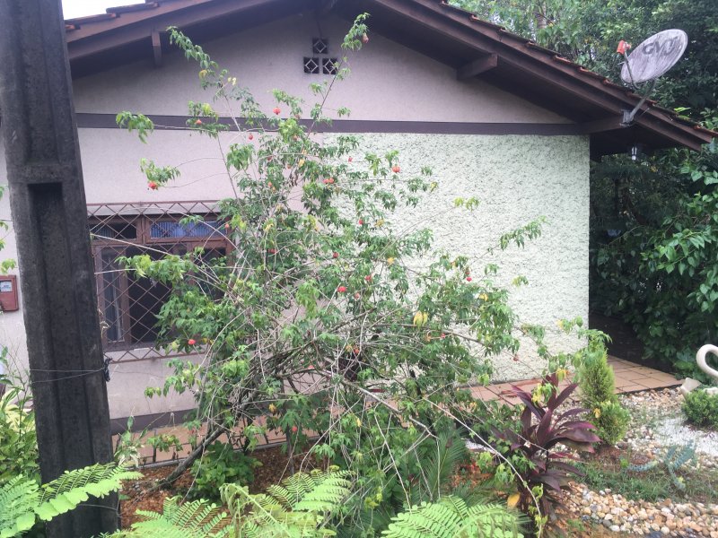 Casa à venda Czerniewicz com 108m² e 3 quartos por R$ 600.000 - 1570989715-e7644aee-6066-4d6b-a21a-ae2a68c7922c.jpeg