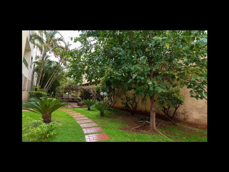 Cobertura à venda Presidente Médici com 144m² e 3 quartos por R$ 310.000 - 605531214-275414242-4656714977772680-3626714887820651400-n.jpg