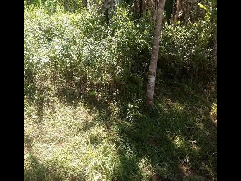 Terreno à venda centro com 3800m² e 1 quarto por R$ 60.000 - 1749159621-fb-img-1642607939546.jpg